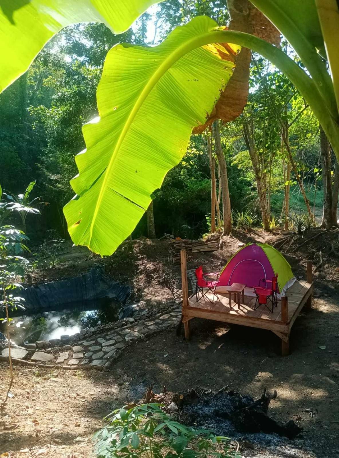 Camping Ground @ Eastdee Lidlidda Екстериор снимка