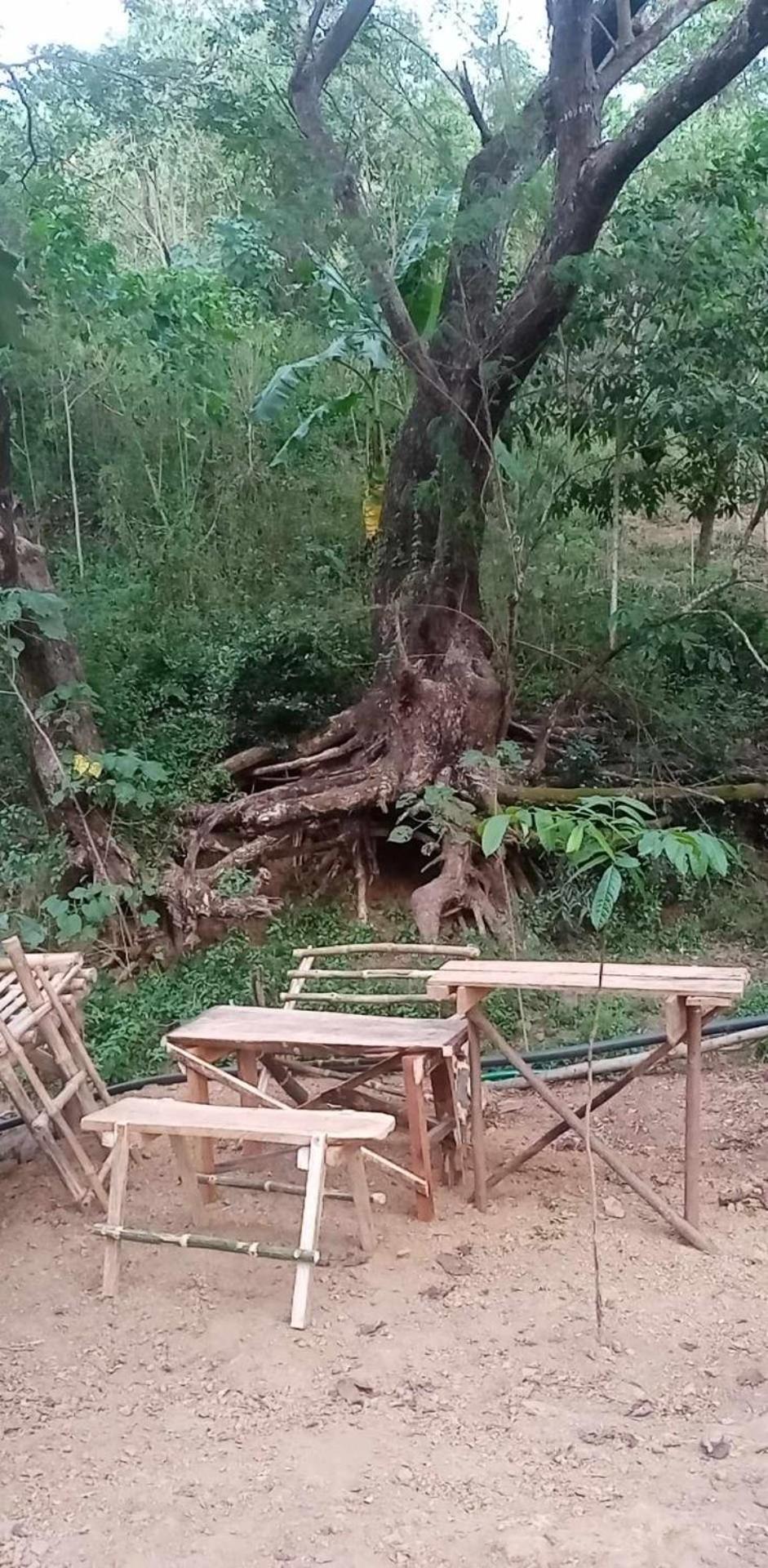Camping Ground @ Eastdee Lidlidda Екстериор снимка