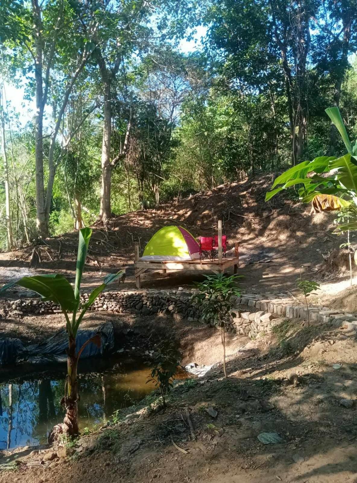 Camping Ground @ Eastdee Lidlidda Екстериор снимка