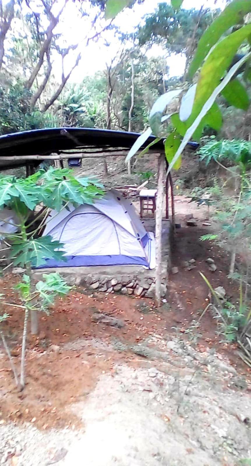 Camping Ground @ Eastdee Lidlidda Екстериор снимка